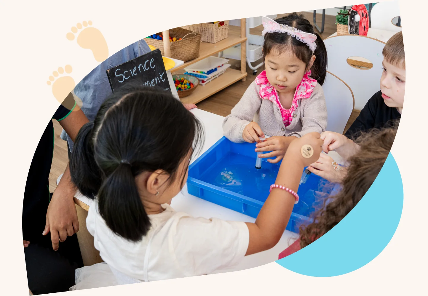 Educators and families shaping the curriculum together